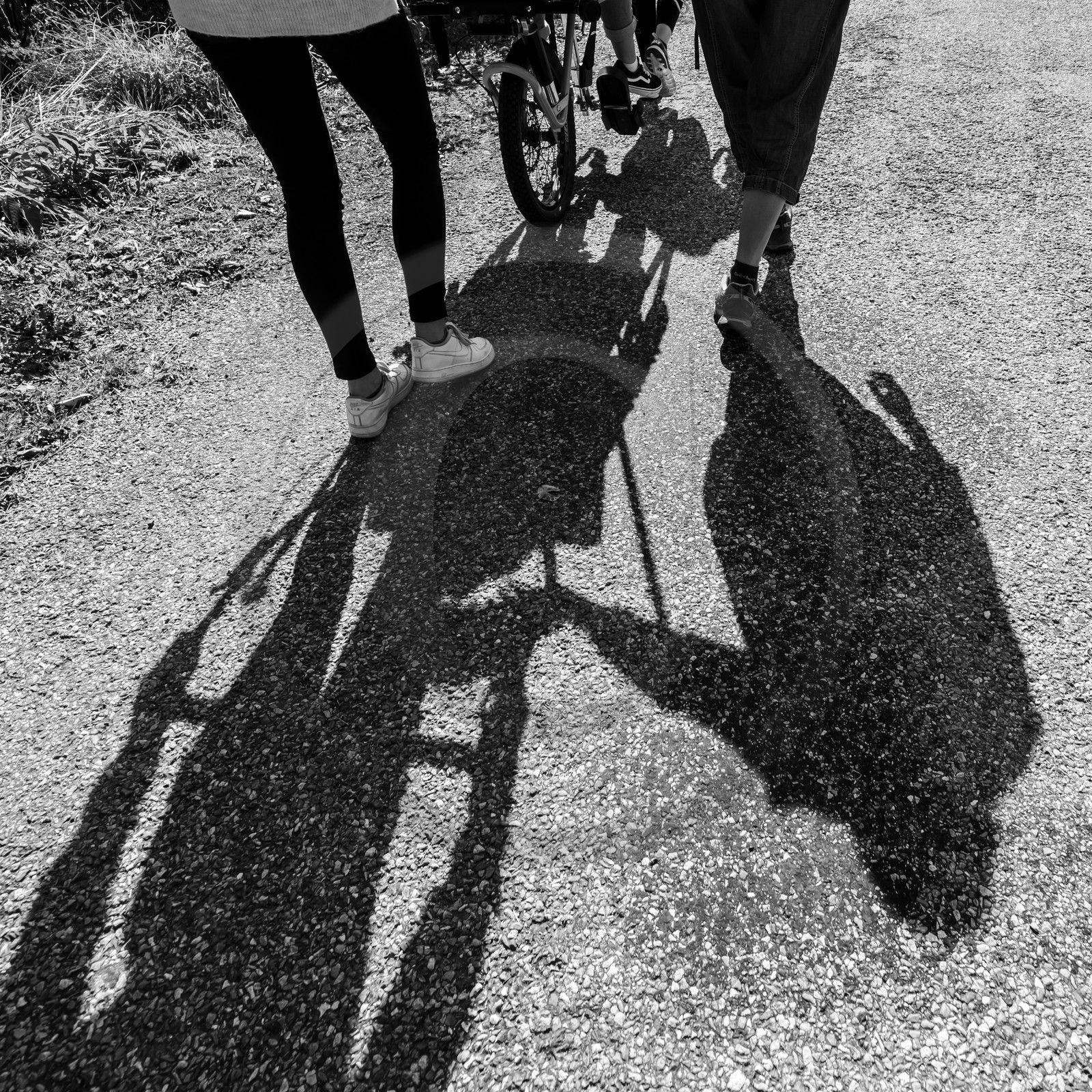 Promenade en joelette
