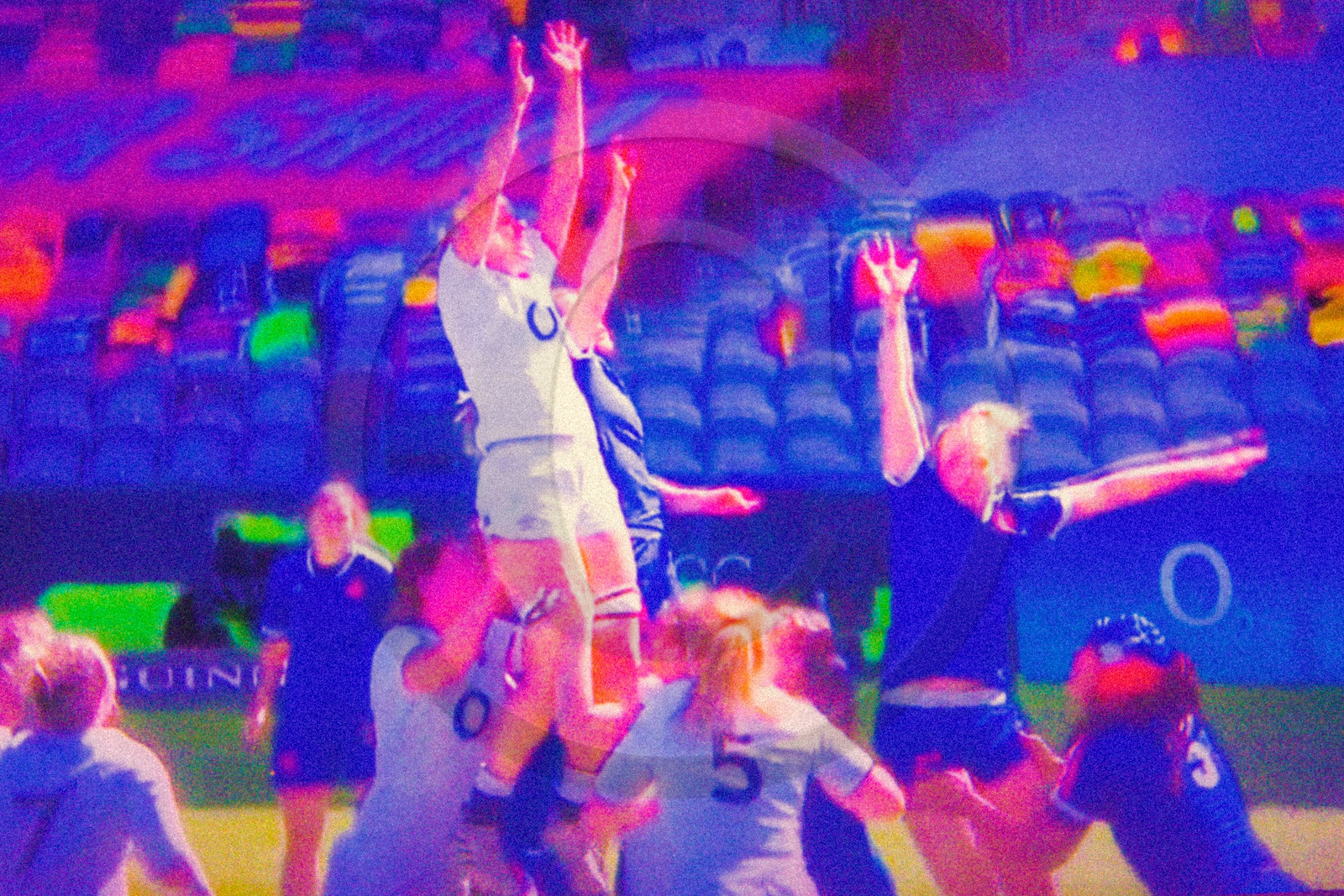 Rugby féminin