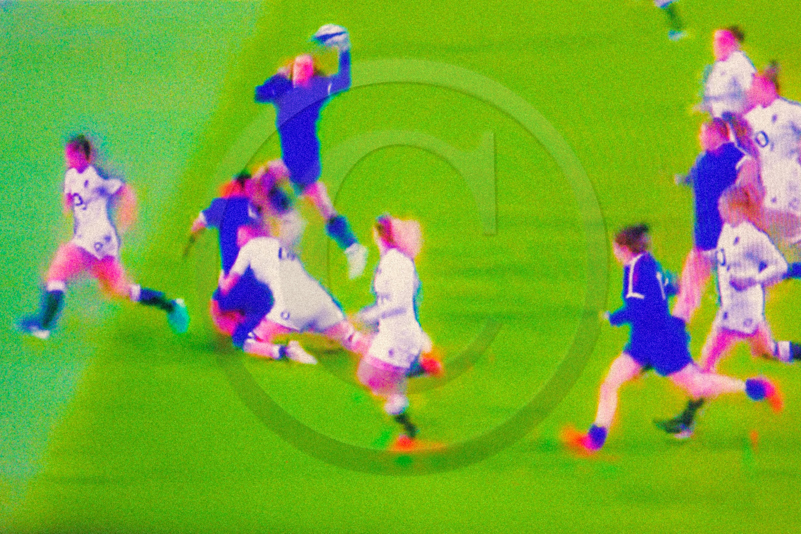 Rugby féminin
