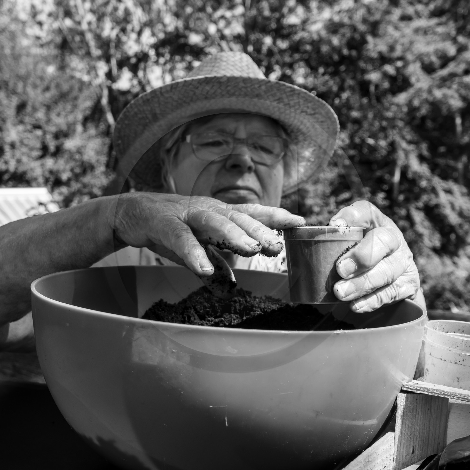 Activités au jardin