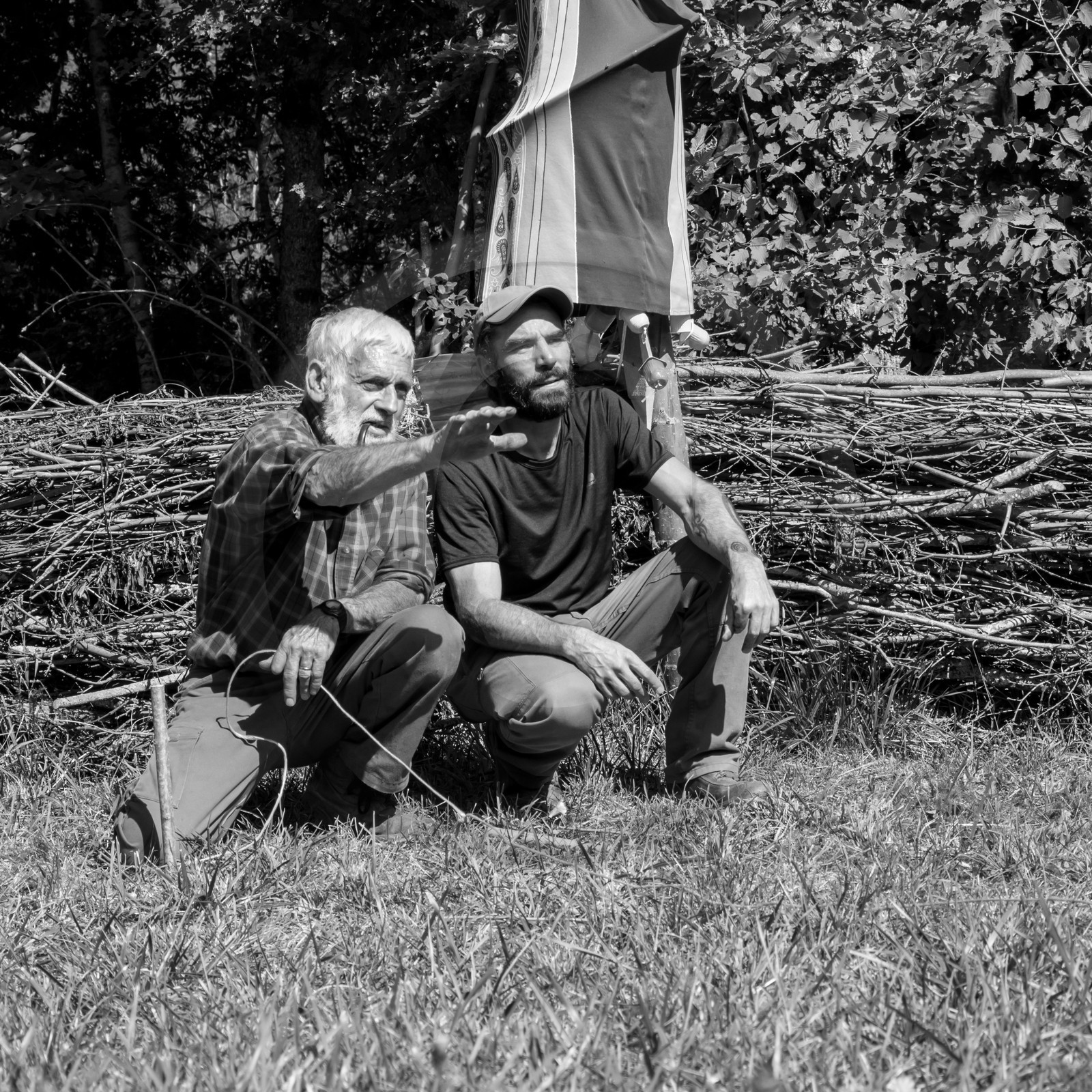 13 septembre 2017 - Chemins - Graines