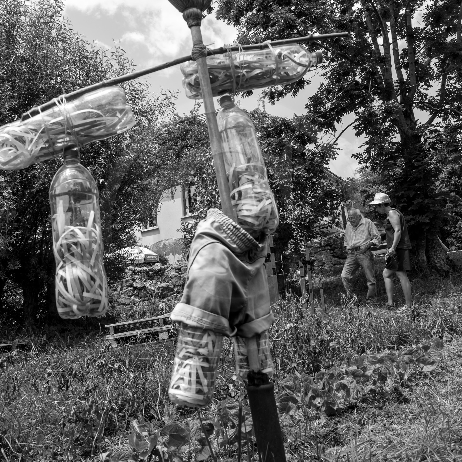 Une après-midi au jardin