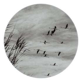 Les instants Camargue