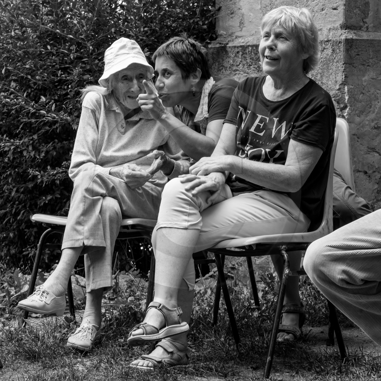 Promenade en calèche et contes
