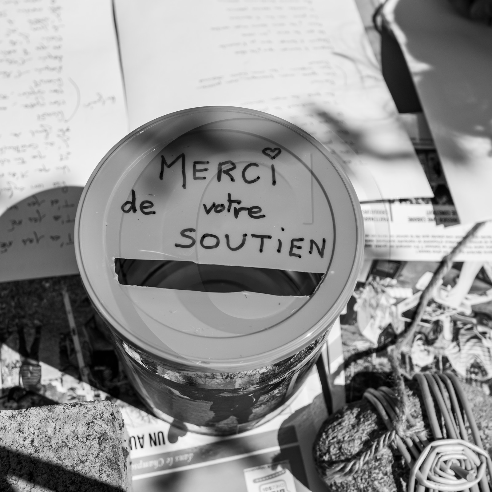 Animation musicale avec Philippe Séranne