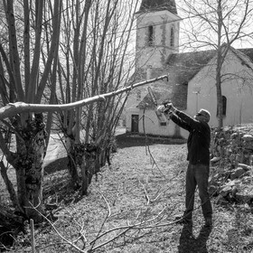 Nettoyage du terrain - Coupe du bois - 29 03 17