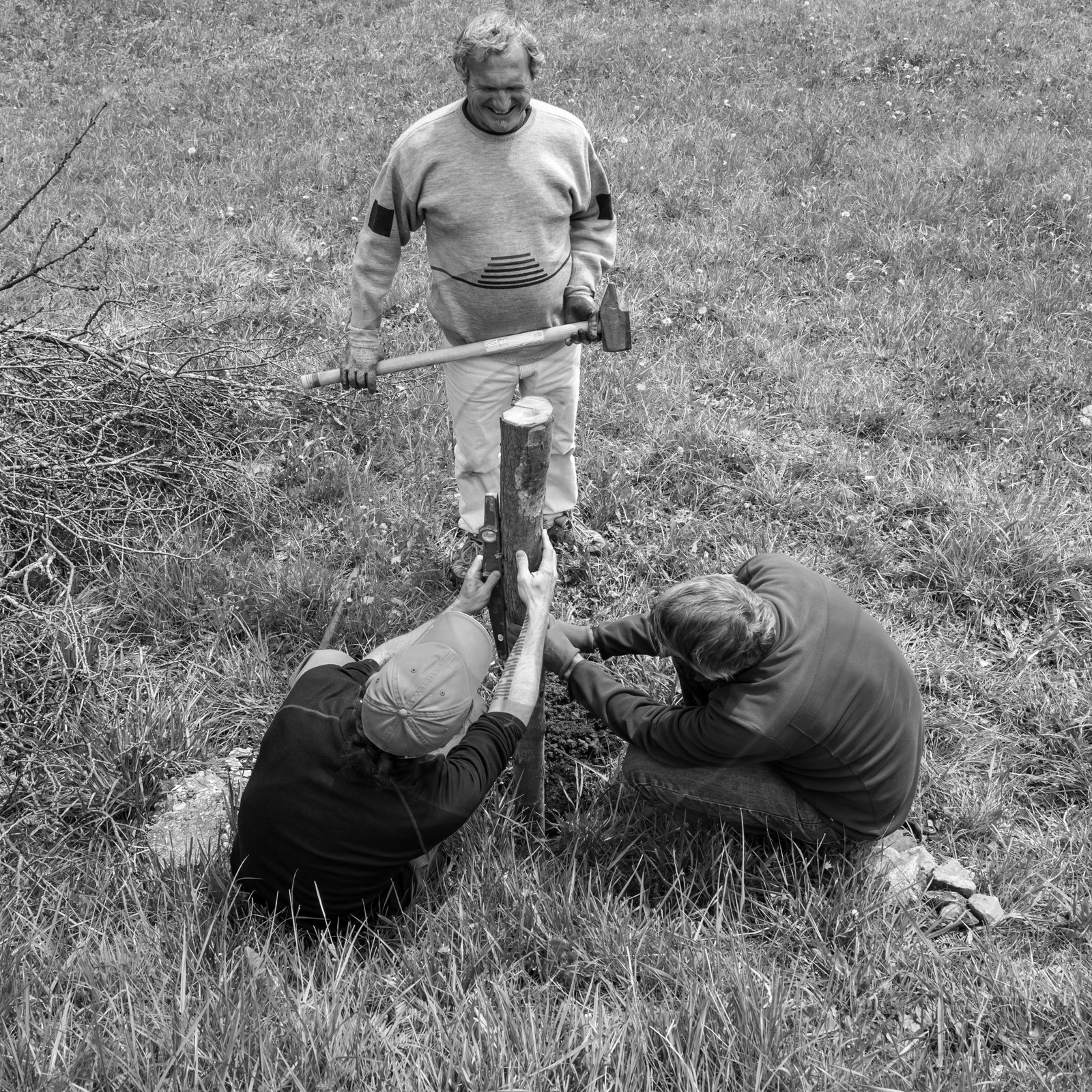 03 mai 2017 - Bac, semis et plantations