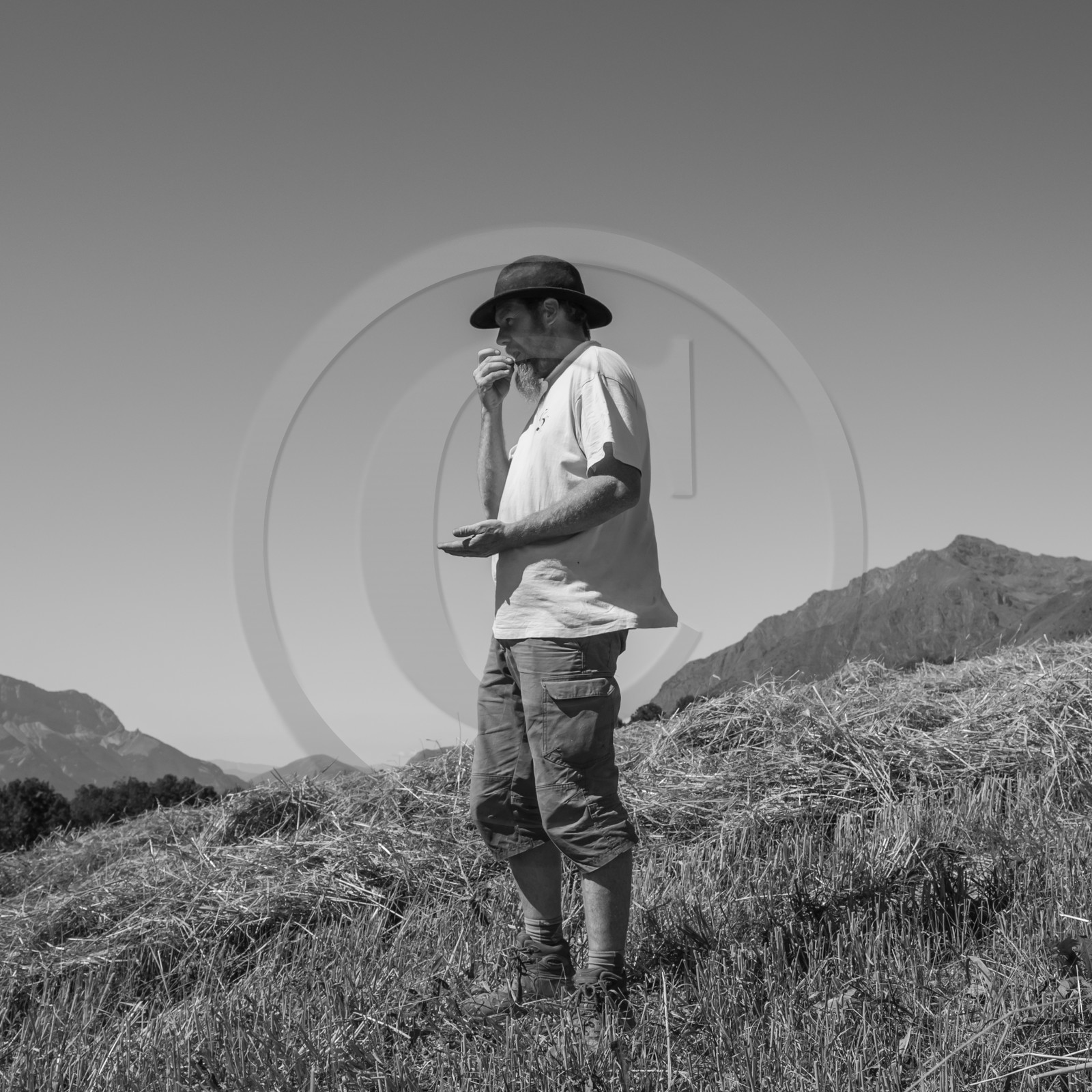 Les moissons dans le Champsaur