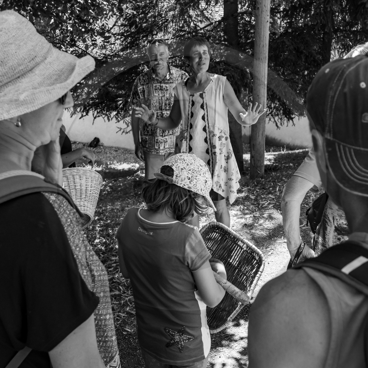 La cantine de Bernie