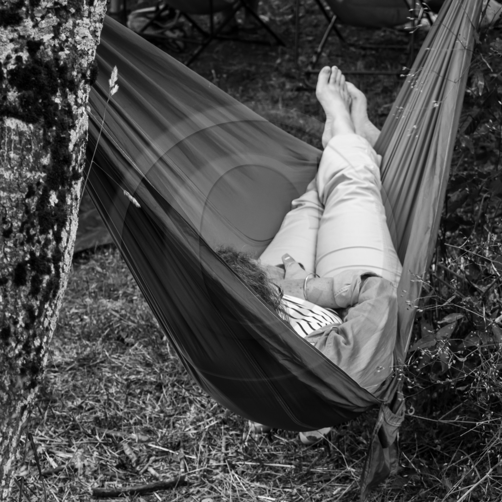 Sieste musicale