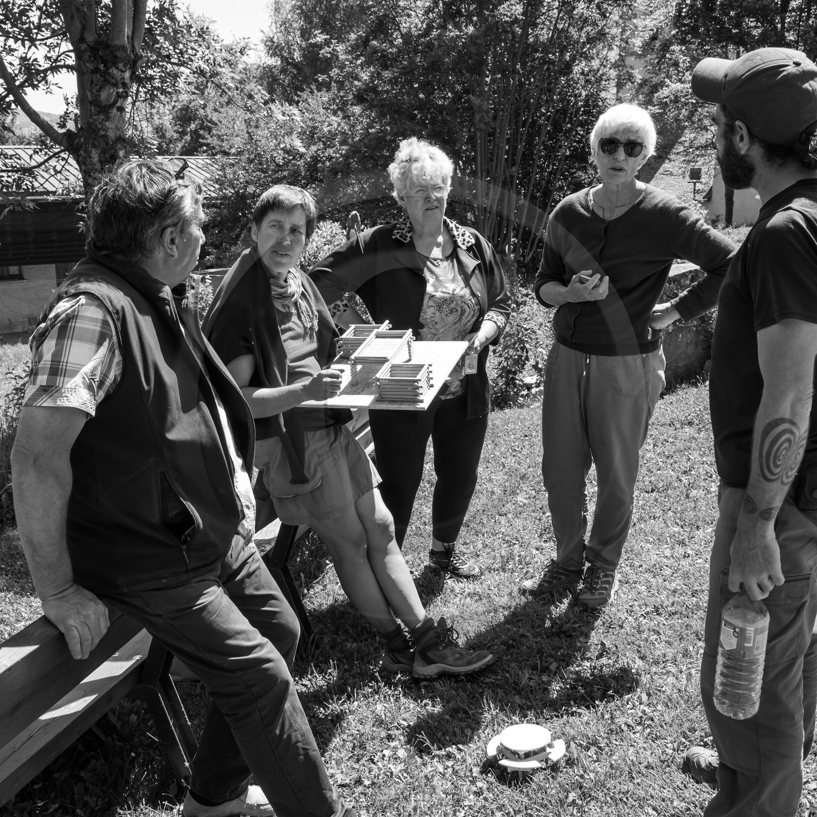 07 juin 2017 - Plantation - Haie - Réunion