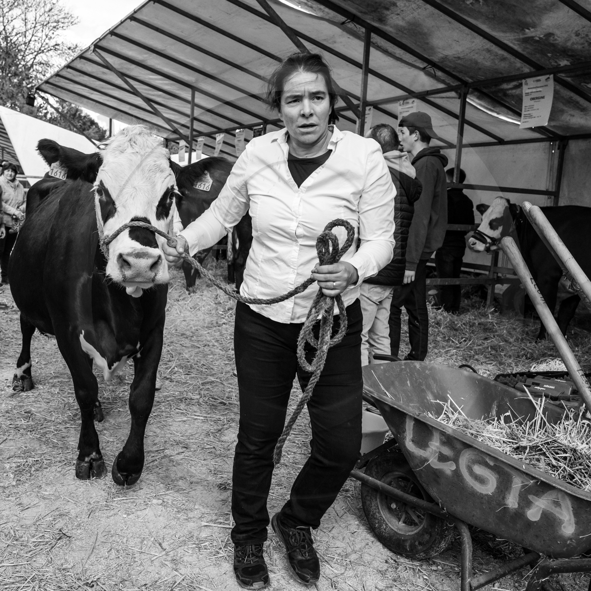 Rencontres paysannes à Saint-Bonnet en Champsaur