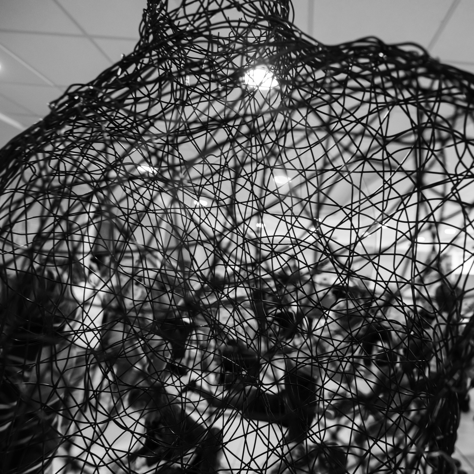 Rencontre à l'Edelweiss