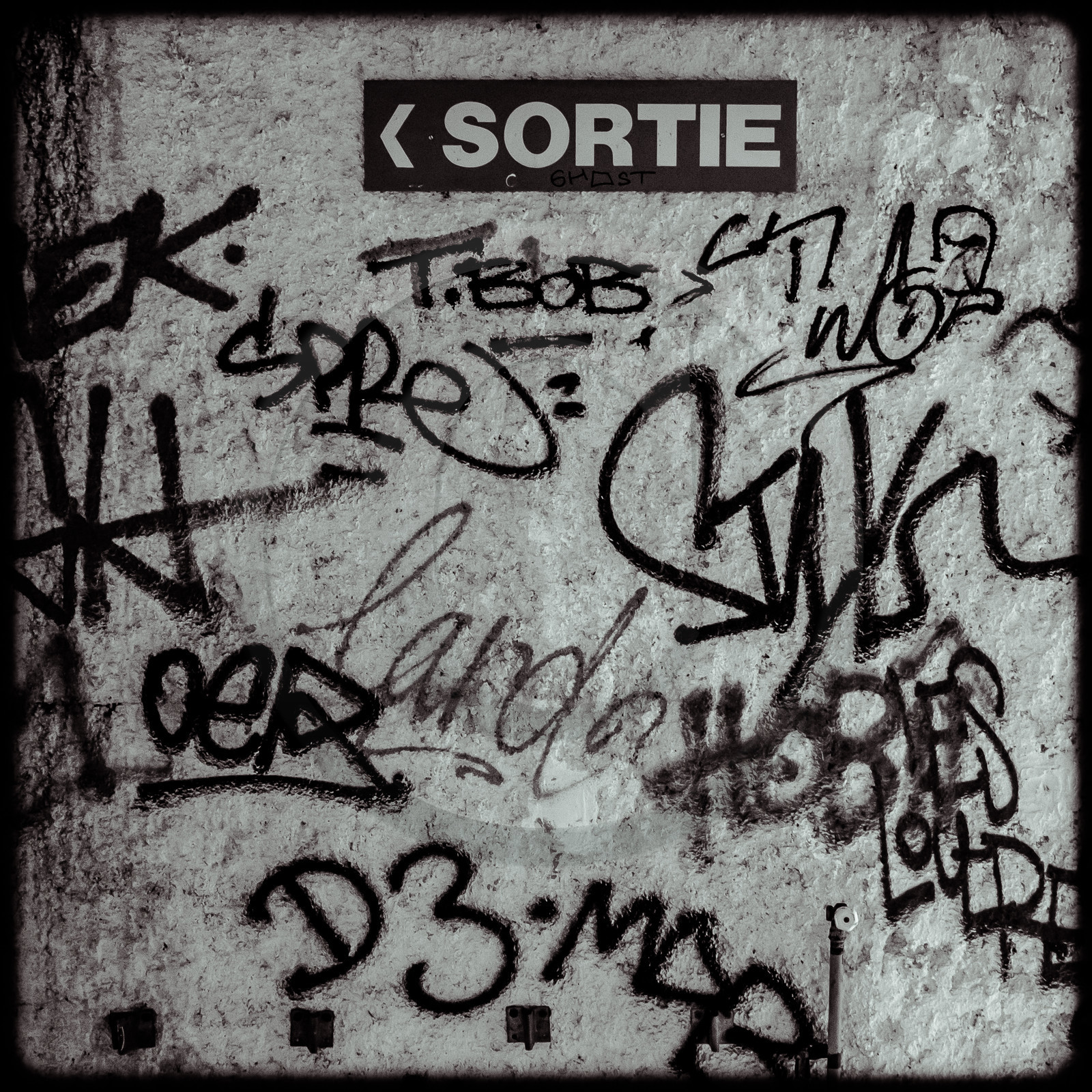 La piscine de Luminy (13)