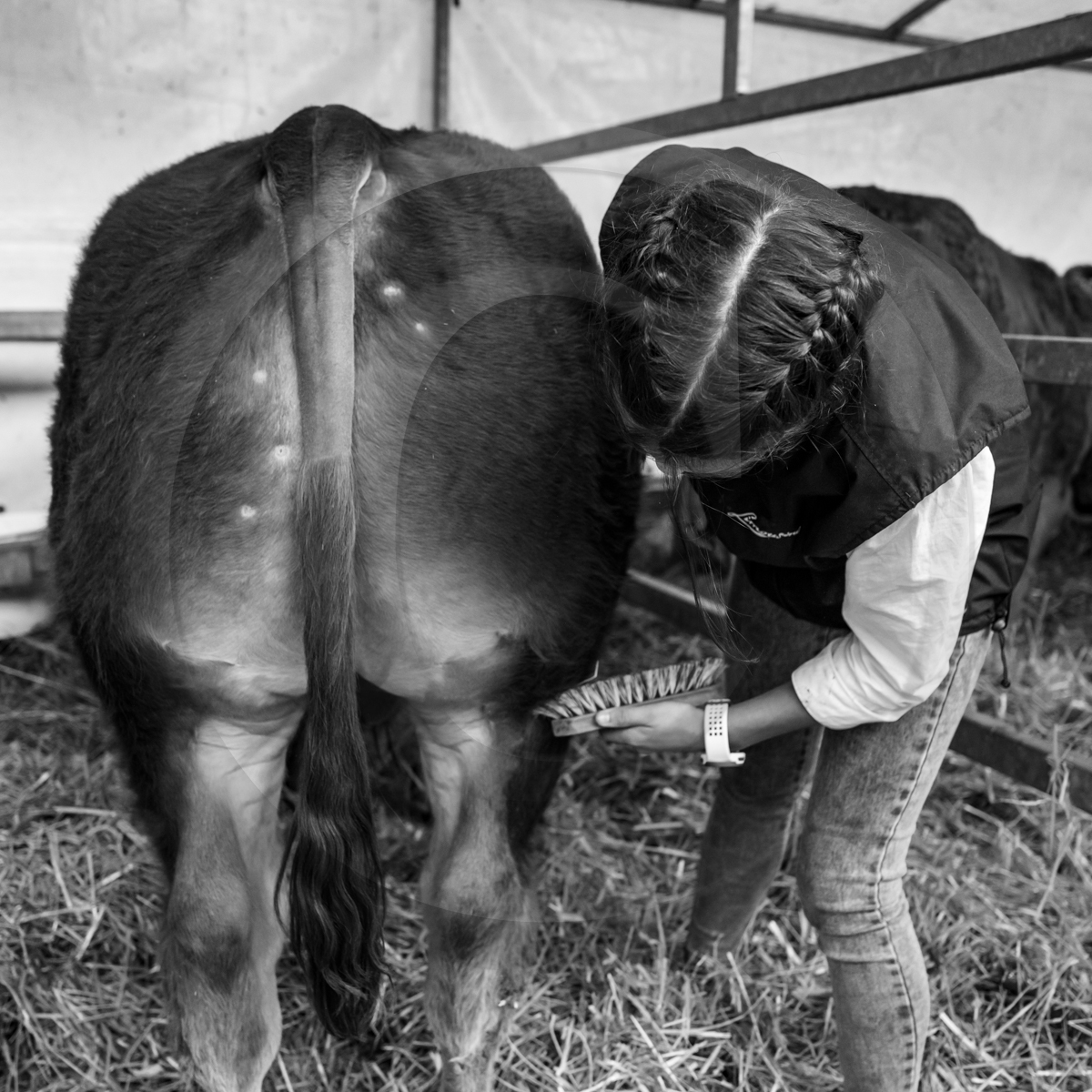 Rencontres paysannes à Saint-Bonnet en Champsaur
