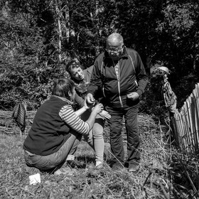 20 septembre 2017 - Jardinage