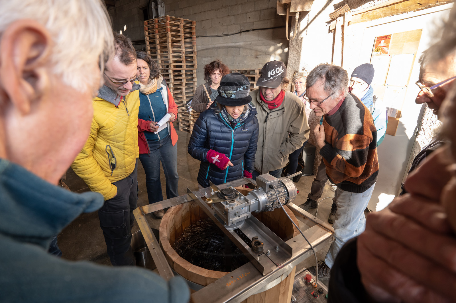 Croqueurs de pommes des Alpes Latines