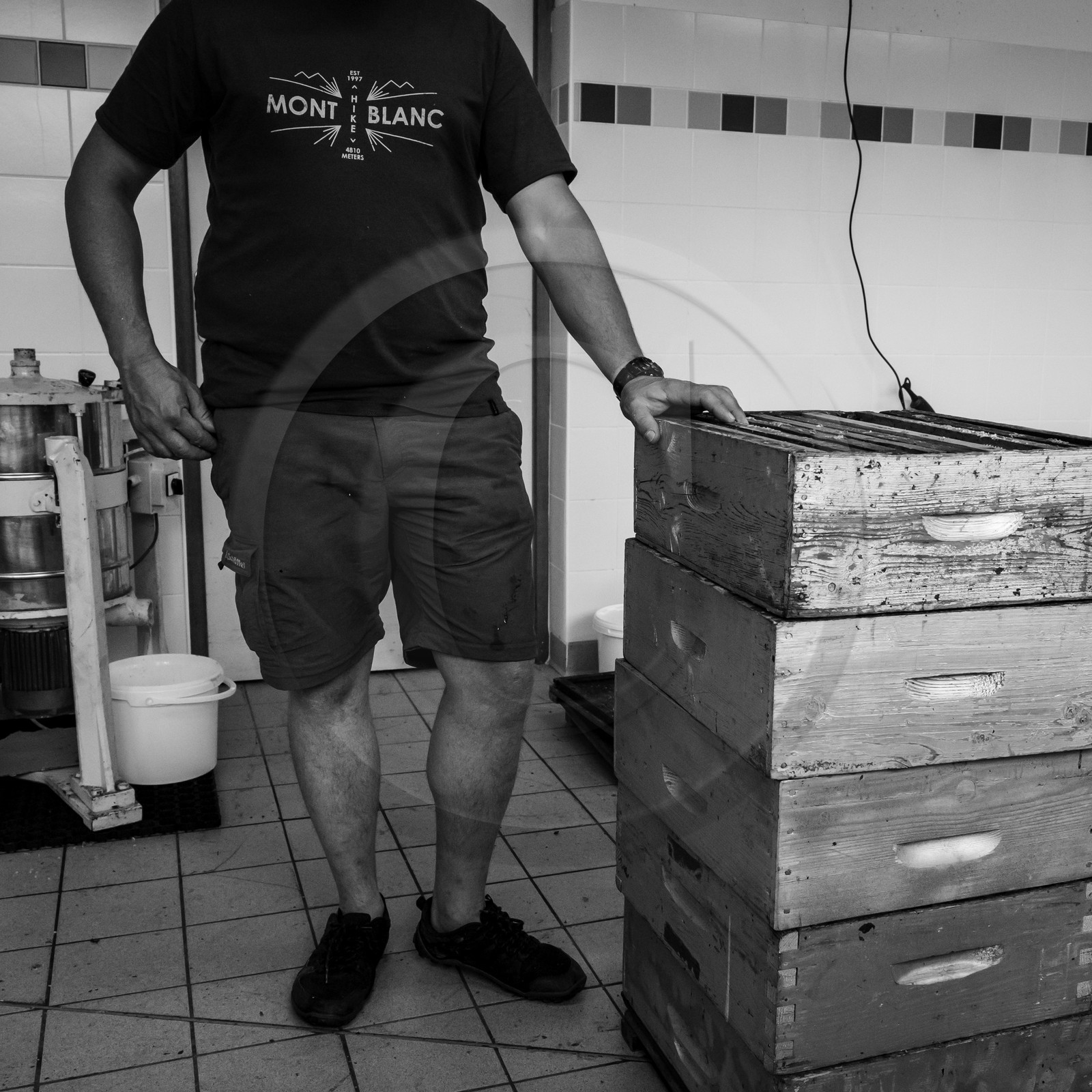 L'extraction du miel