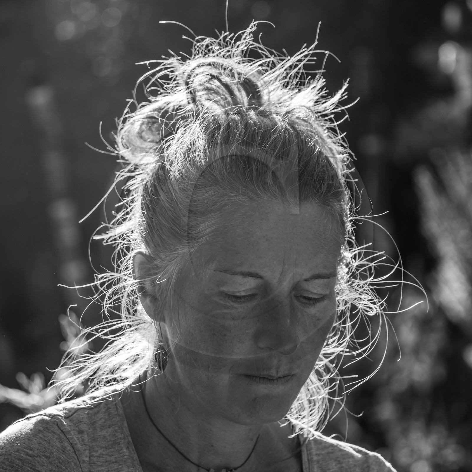 27 octobre 2021 : Un sentier et une réunion