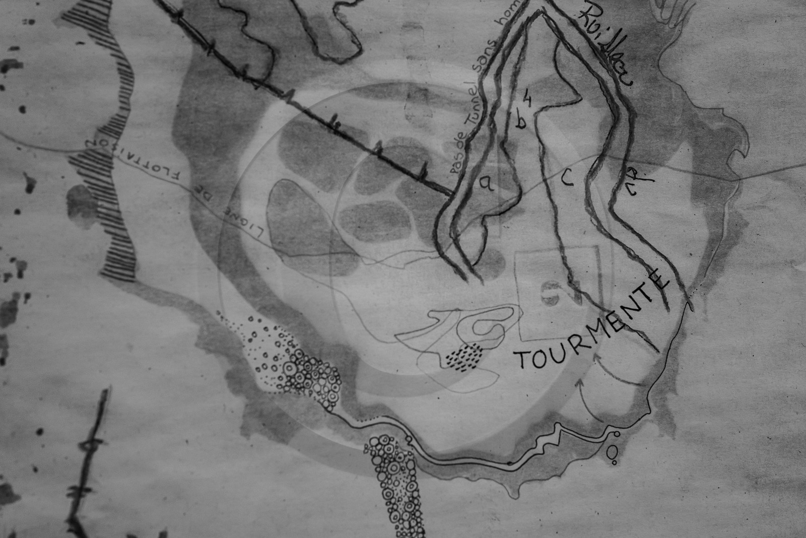 09 août 2023 : HydrOlique au jardin