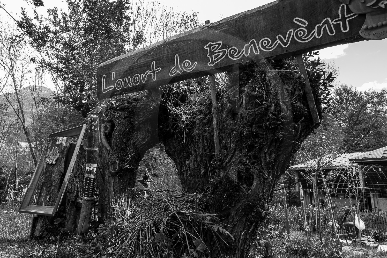 15 mai 2023 : Journée des aidants et des aidés