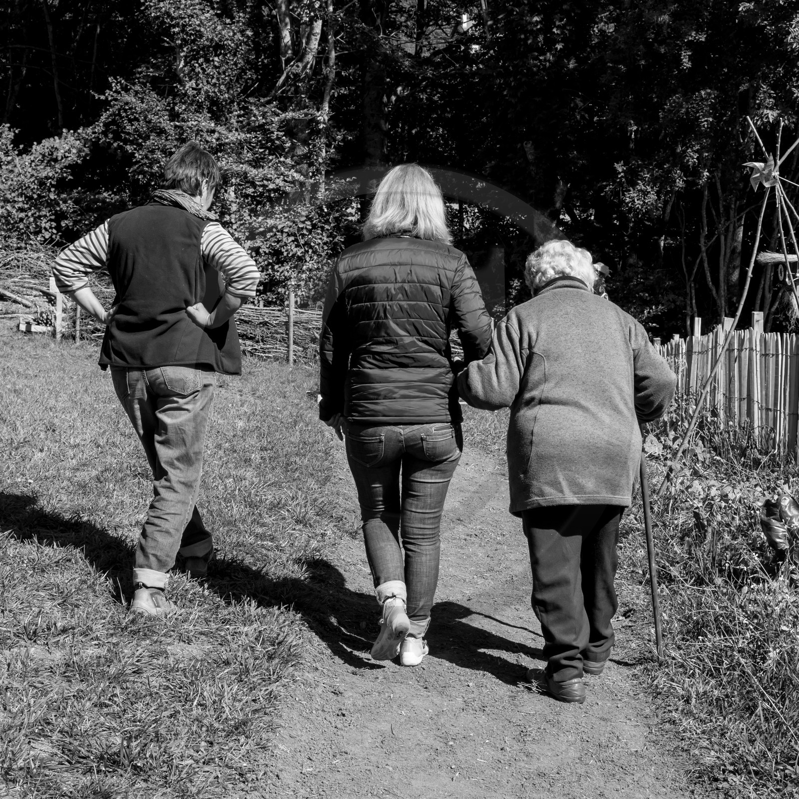 20 septembre 2017 - Jardinage