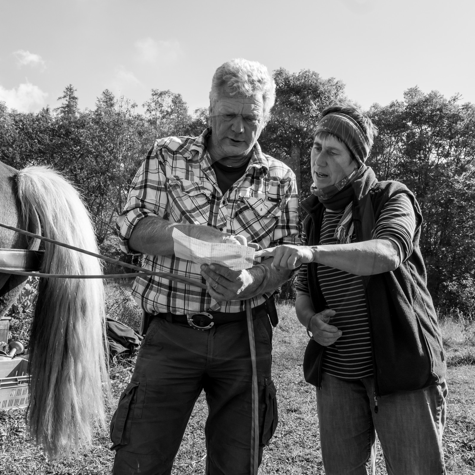 La récolte des pommes de terre avec un cheval