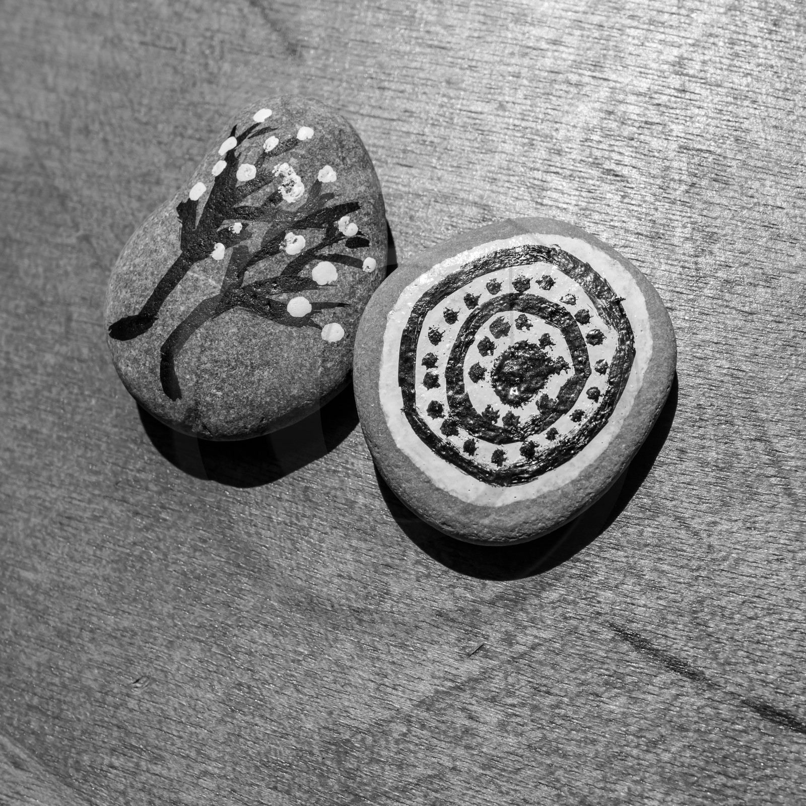 Des jeux avec le Lycée Sévigné