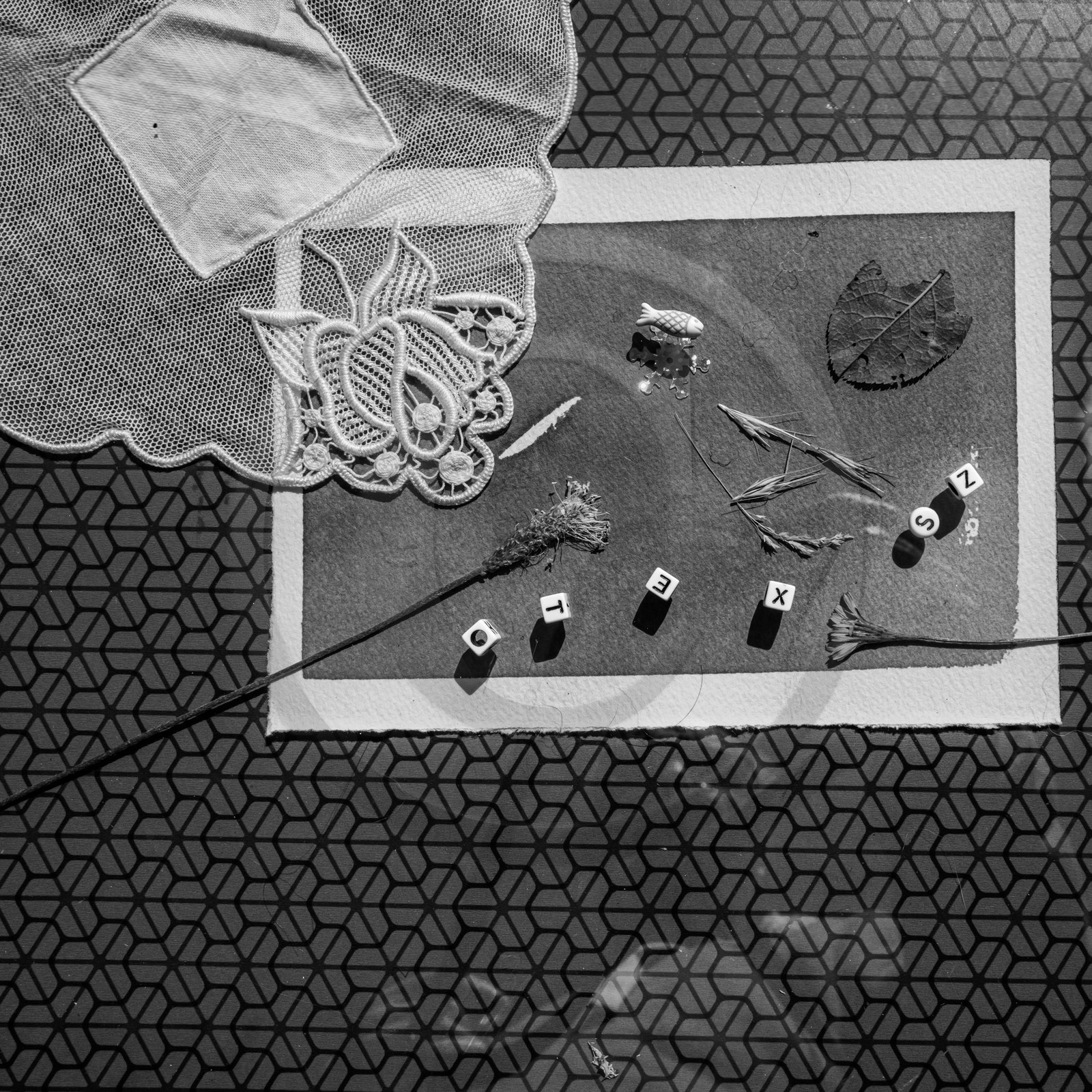 13 septembre 2024 : Journée des aidants - Ateliers créatifs