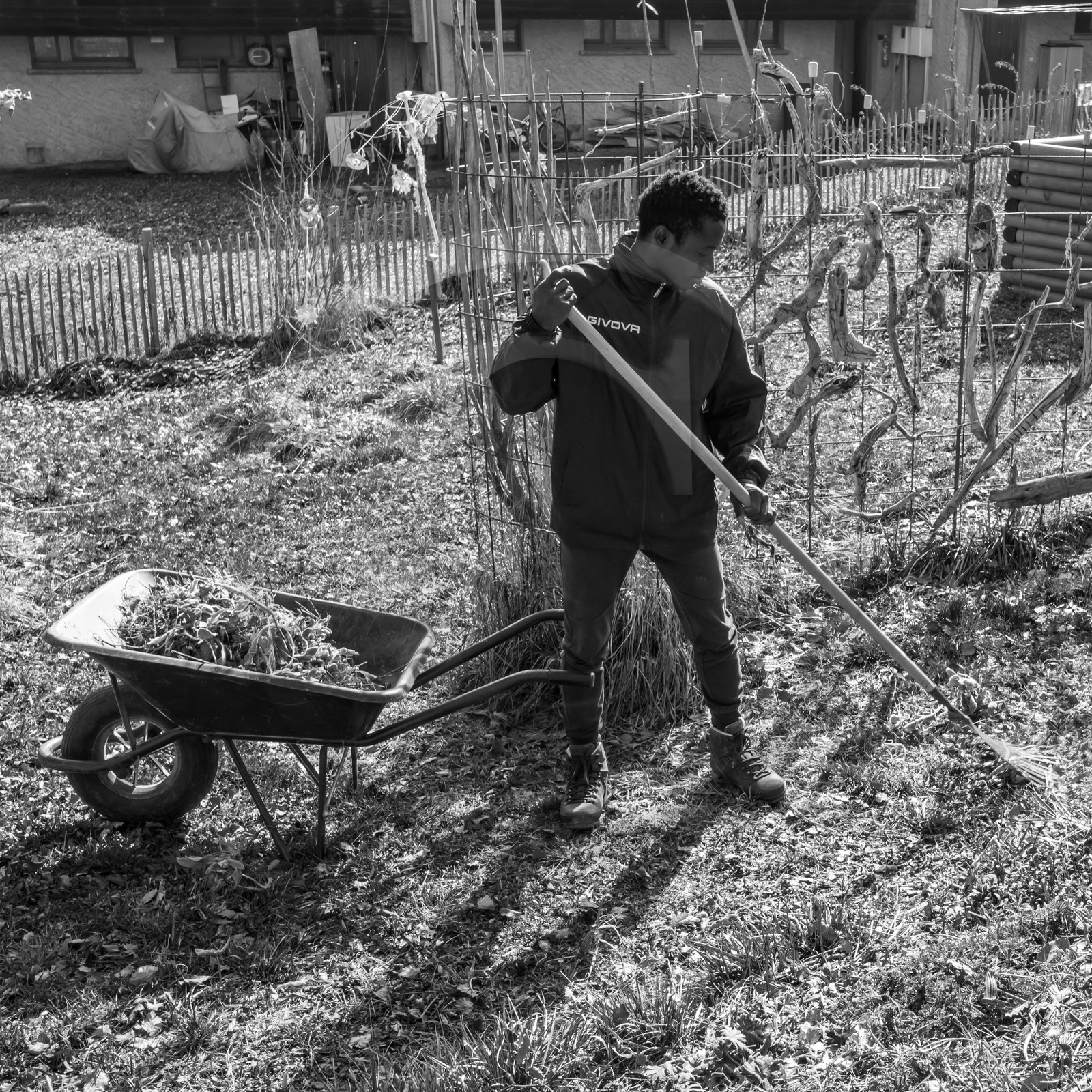 24 février 2021 : on taille, on prépare le jardin...
