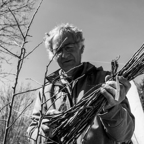10 avril 2022 : Initiation à la greffe d'arbres fruitiers