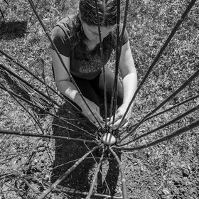 30 avril 2025 : Un oiseau en osier