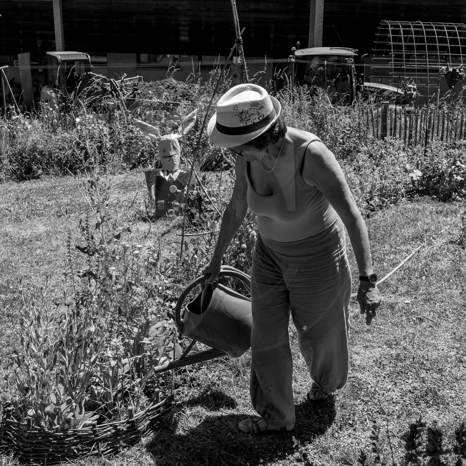 30 juin 2021 : Jardinage, jeux de cartes, masques