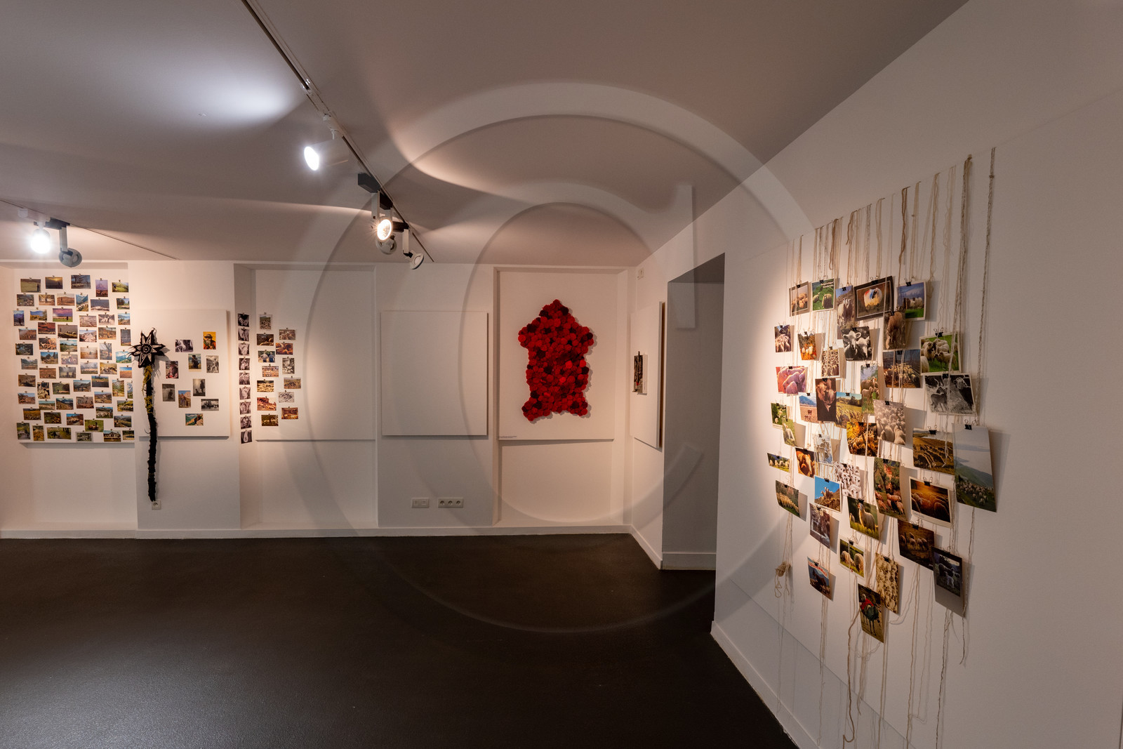 Expositions à la maison du Berger - Champoléon