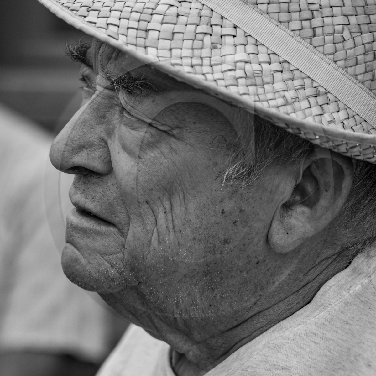 29 juin 2022 : Découverte des plantes sauvages