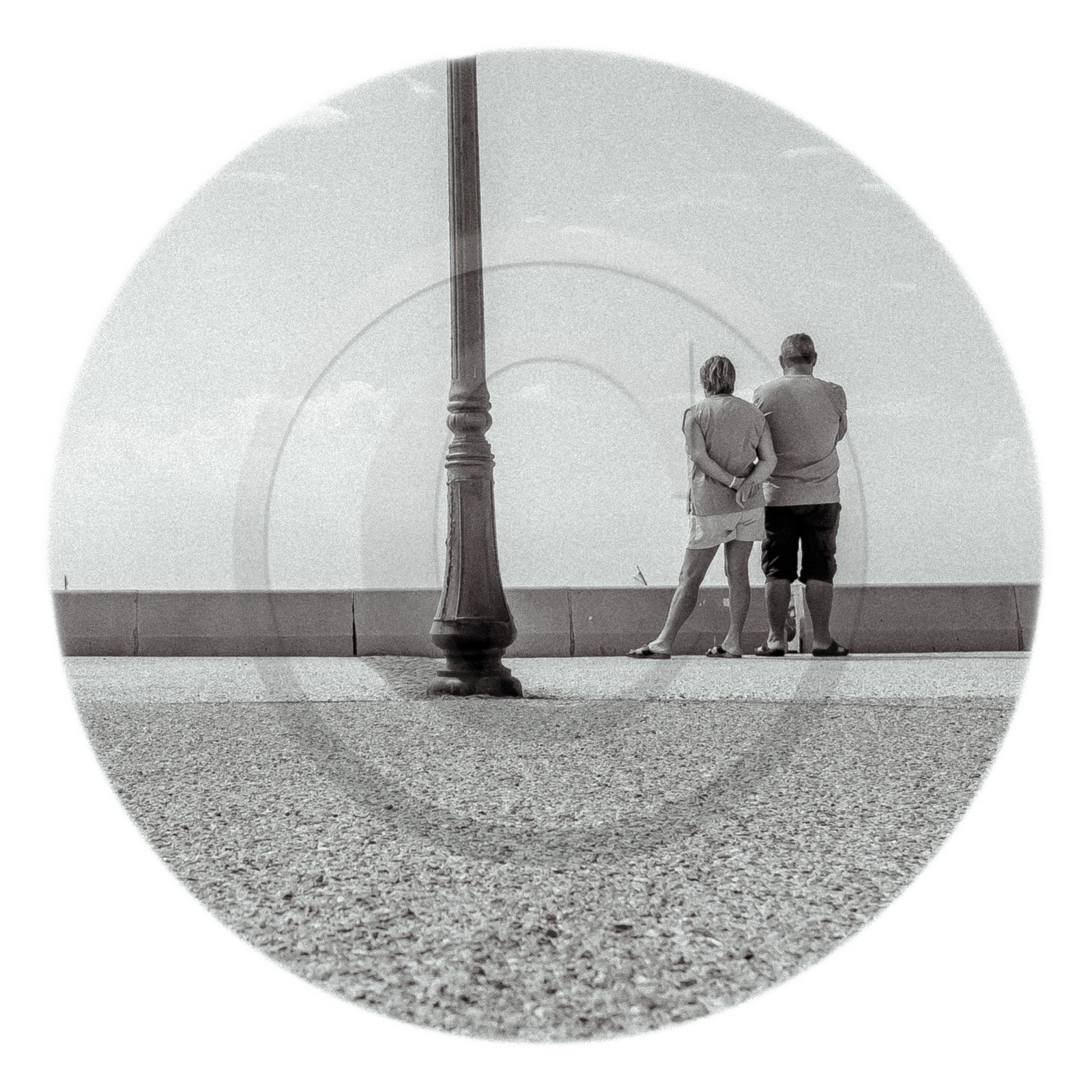 Les instants Camargue