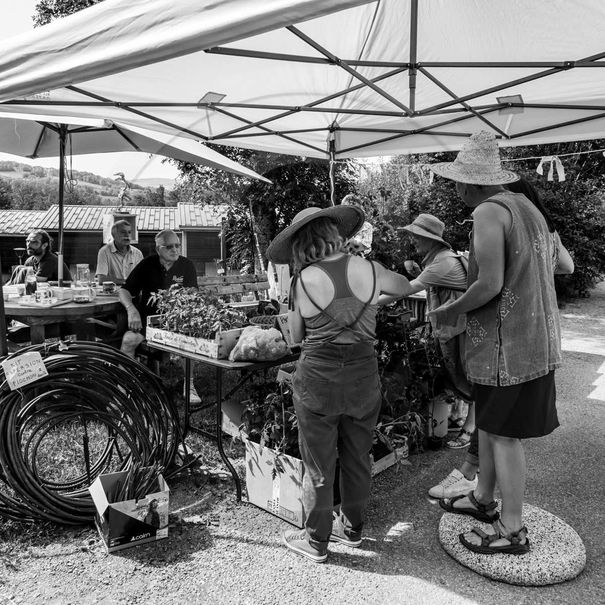 22 mai 2022 : Vide-Jardin