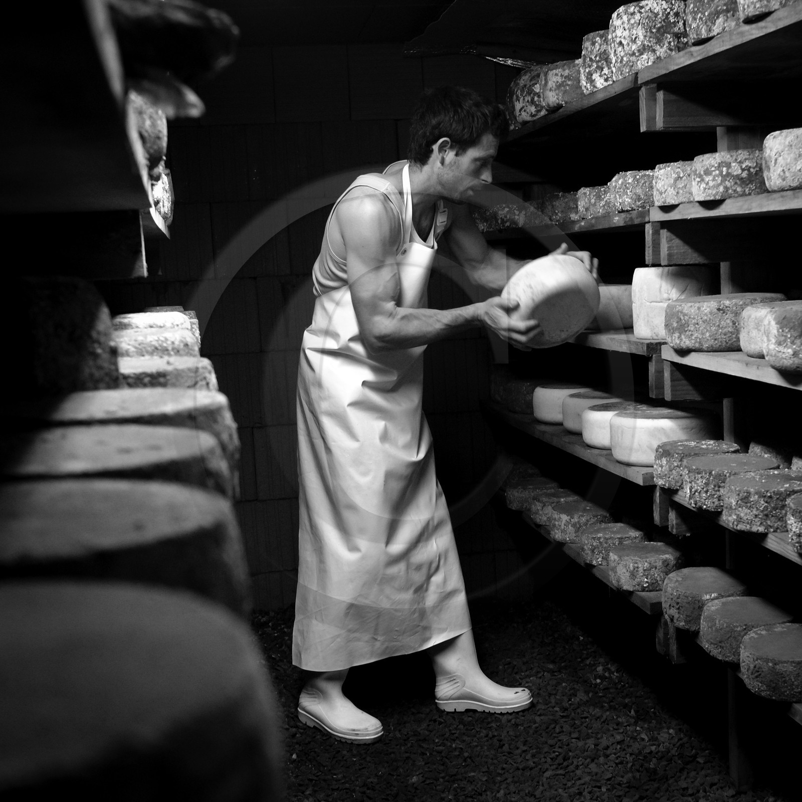 Paul Flambard, fromager