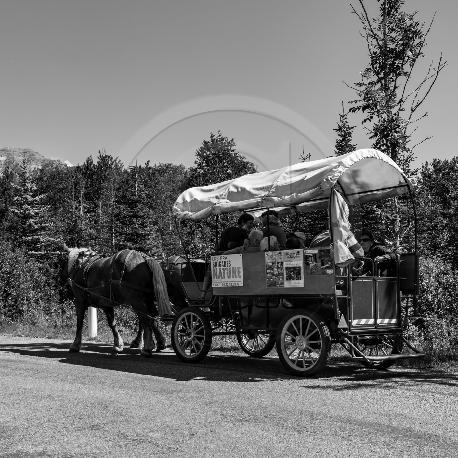 01 septembre 2021 : Promenade en cariole et contes