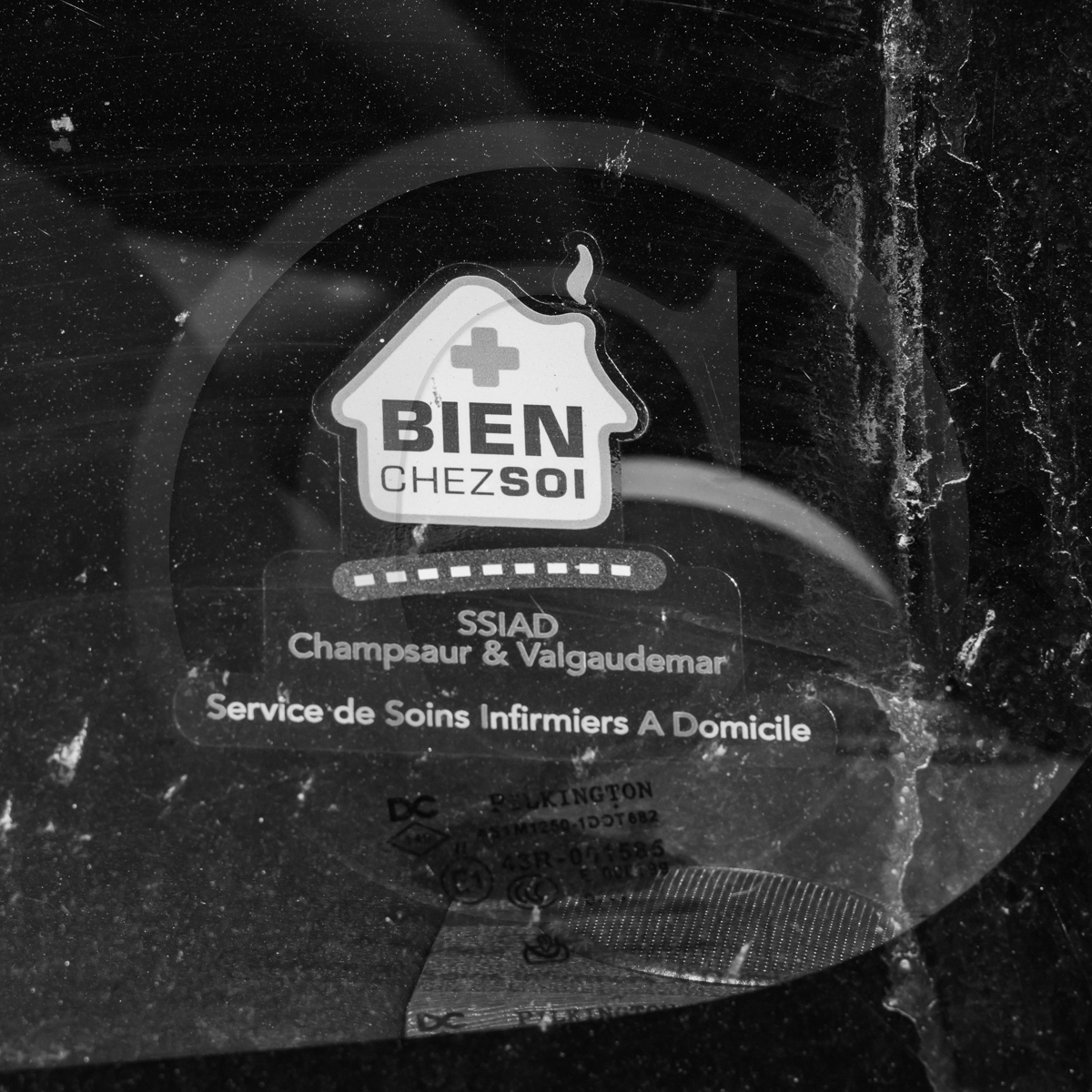 Atelier laine et promenade au jardin