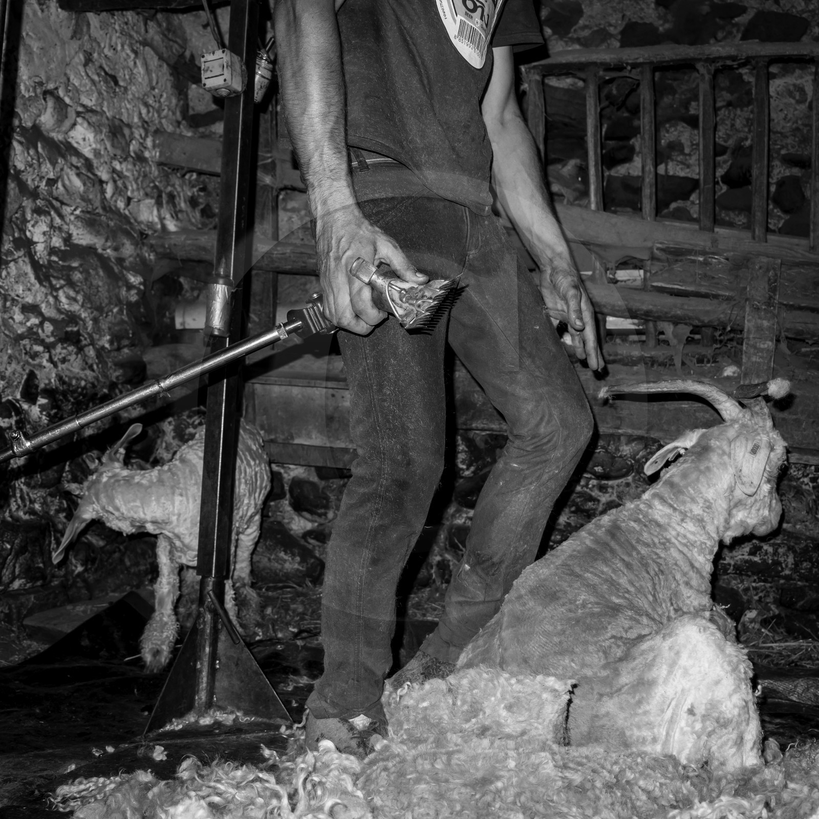 Le mohair arc en ciel