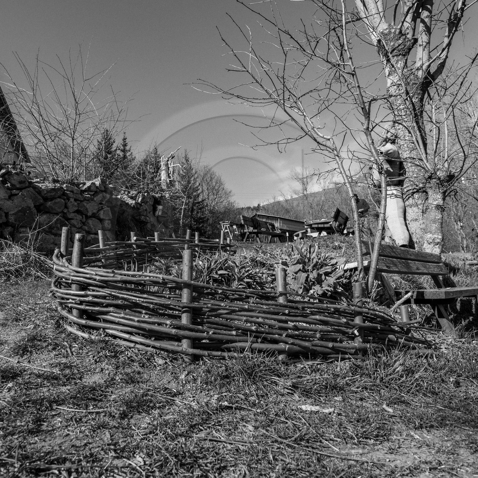 10 mars 2021 : on jardine, on fabrique des jeux