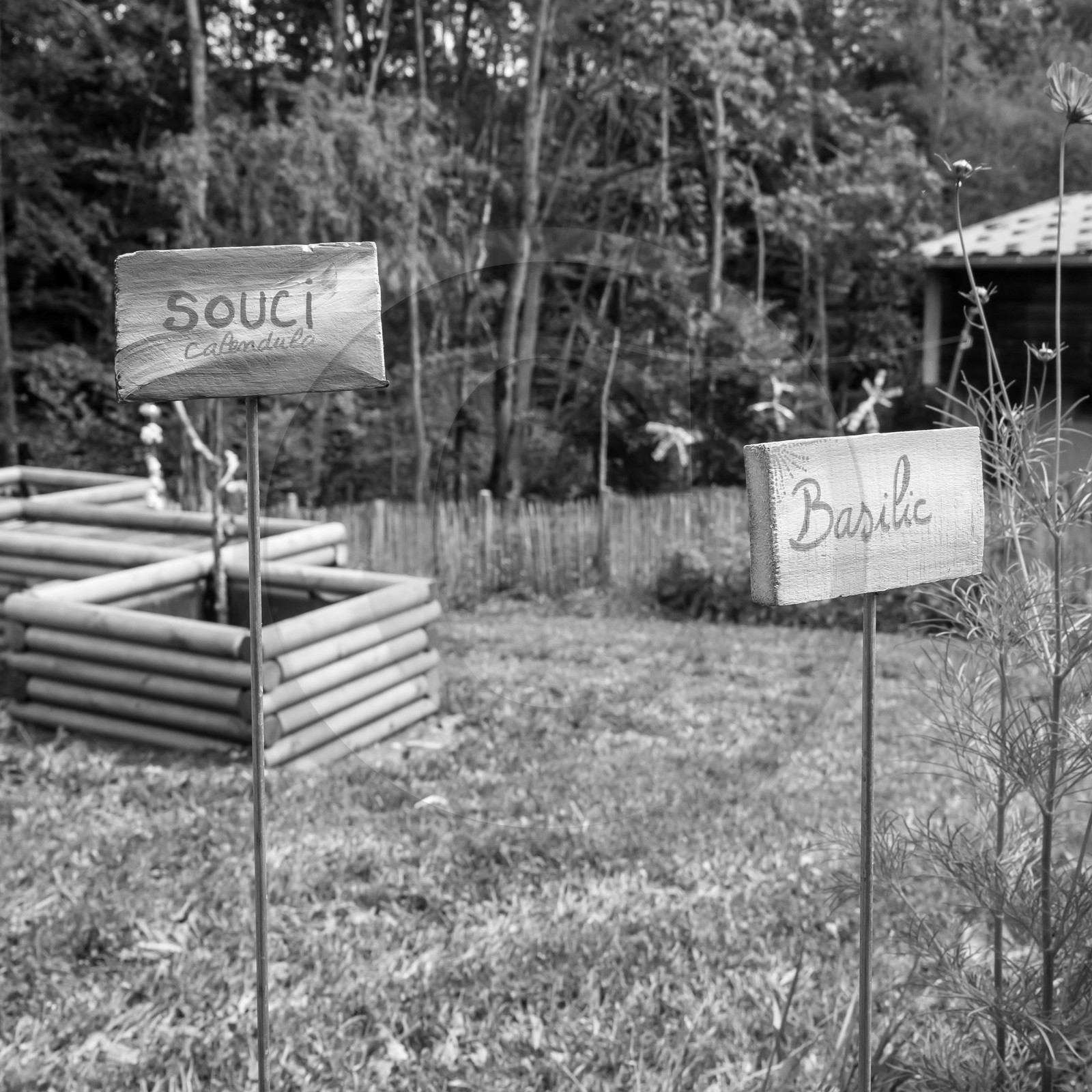 Une après-midi au jardin
