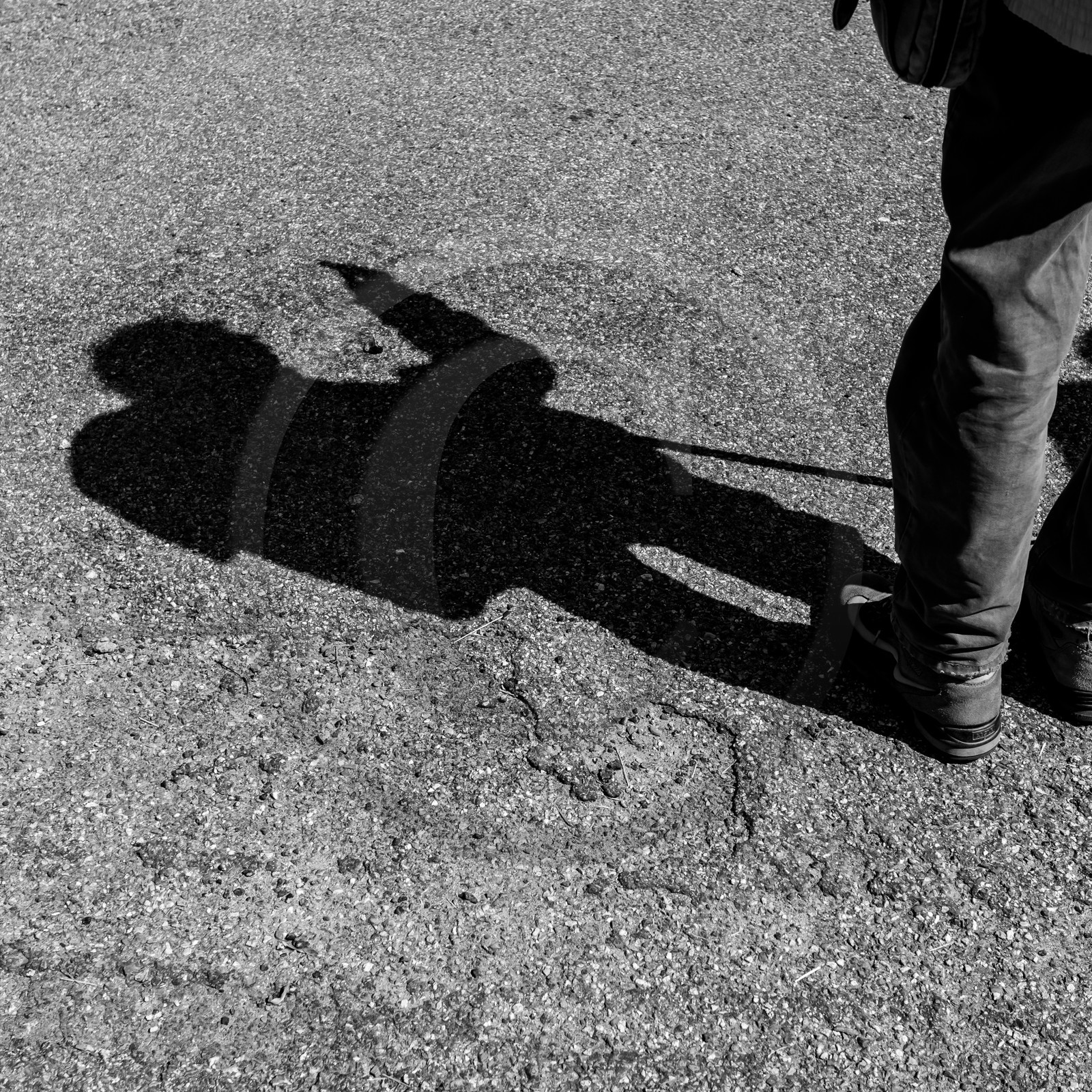 Arpenter le paysage avec Martin de la Soudière