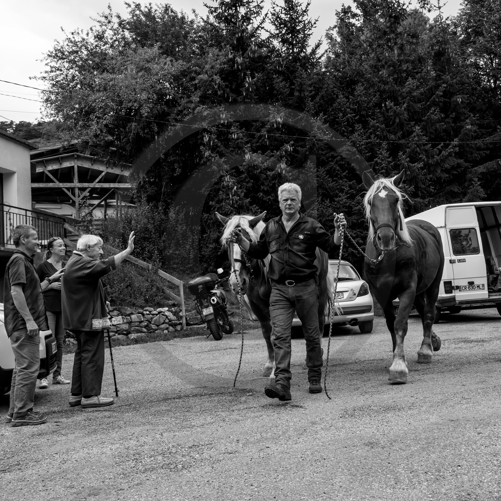 Promenade en calèche et contes