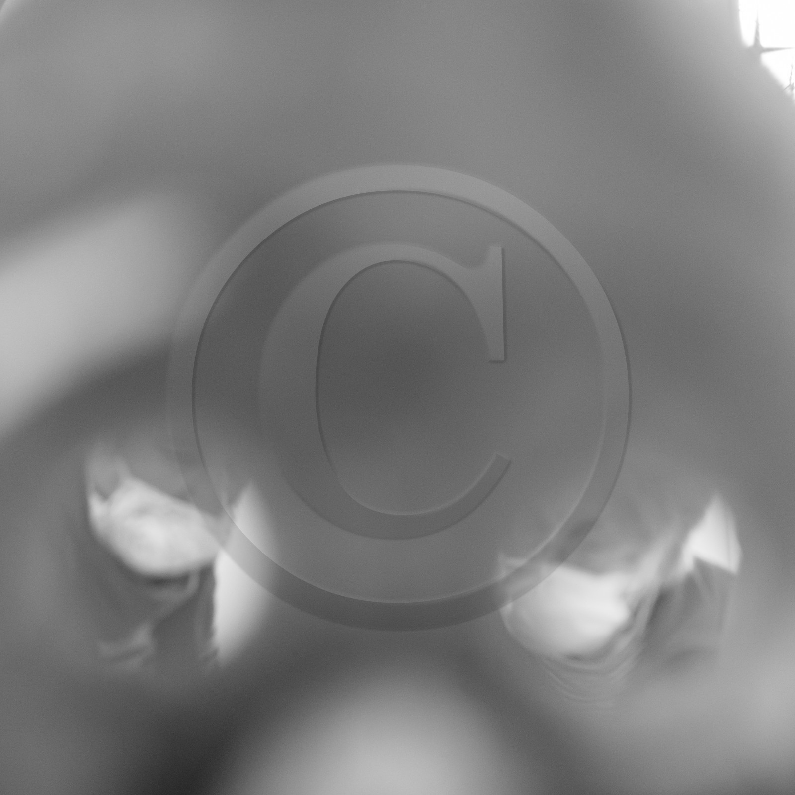 12 mai 2021 : Fabrication de masques