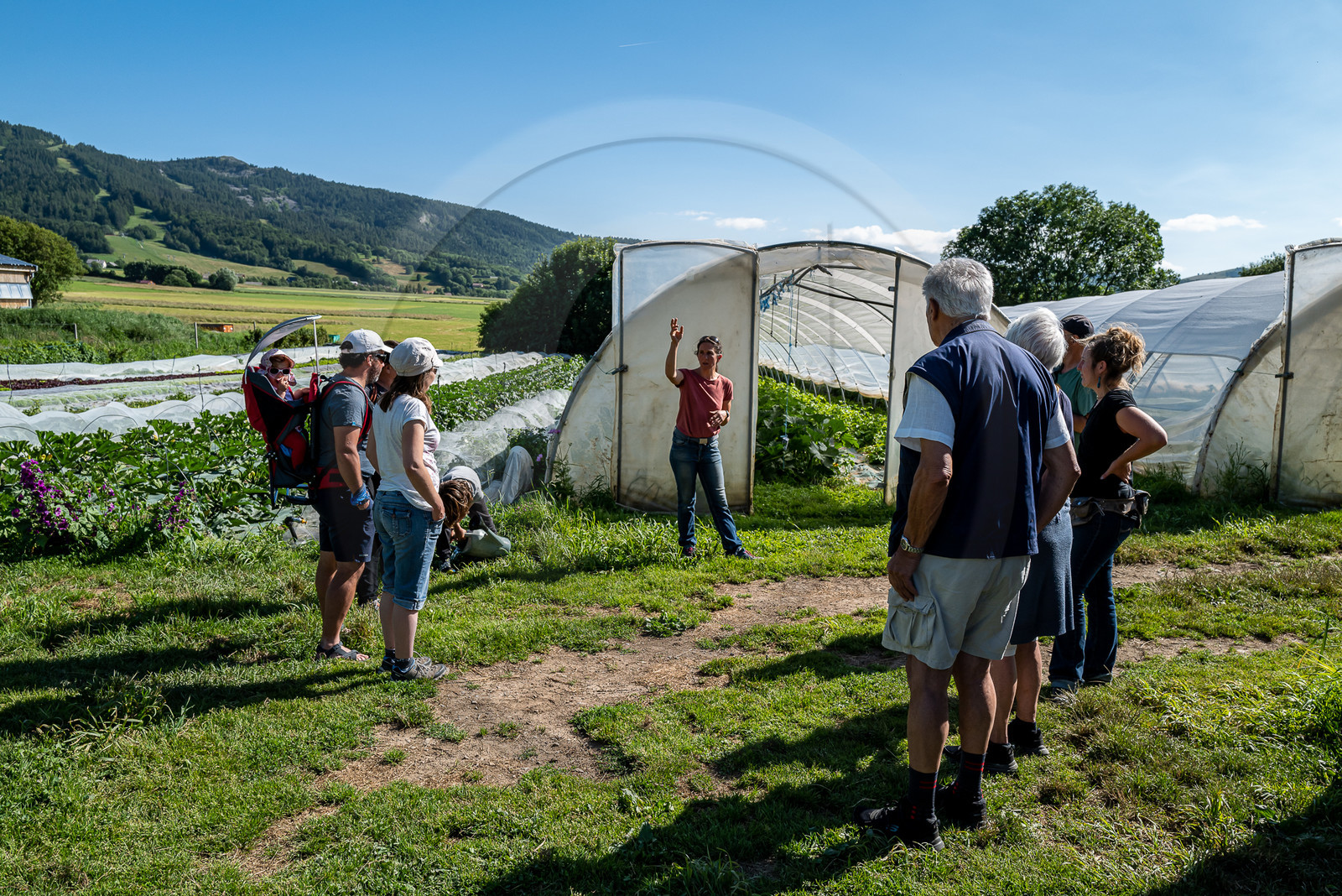 Légumontagne : maraichage biologique à Ancelle
