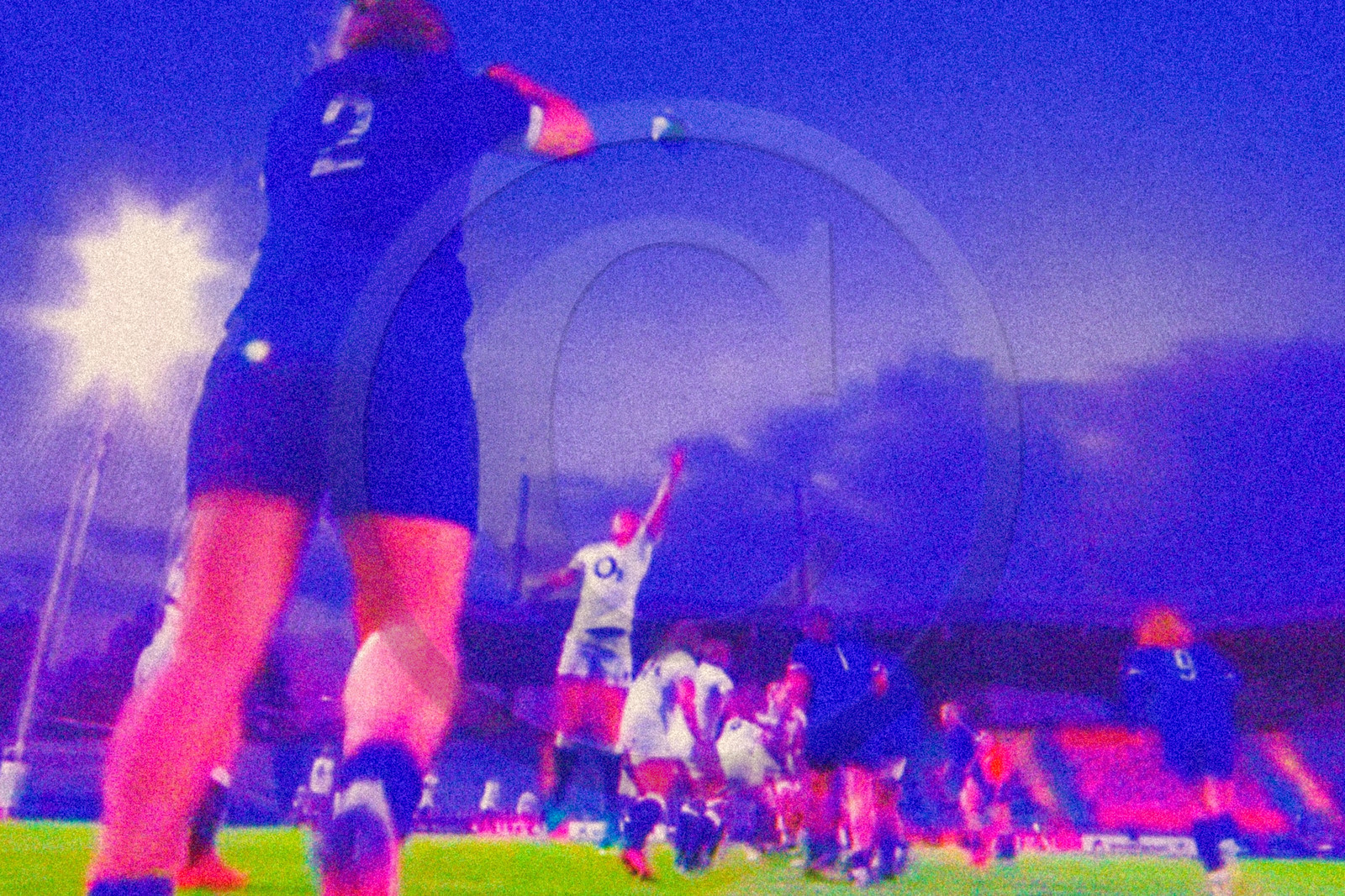 Rugby féminin