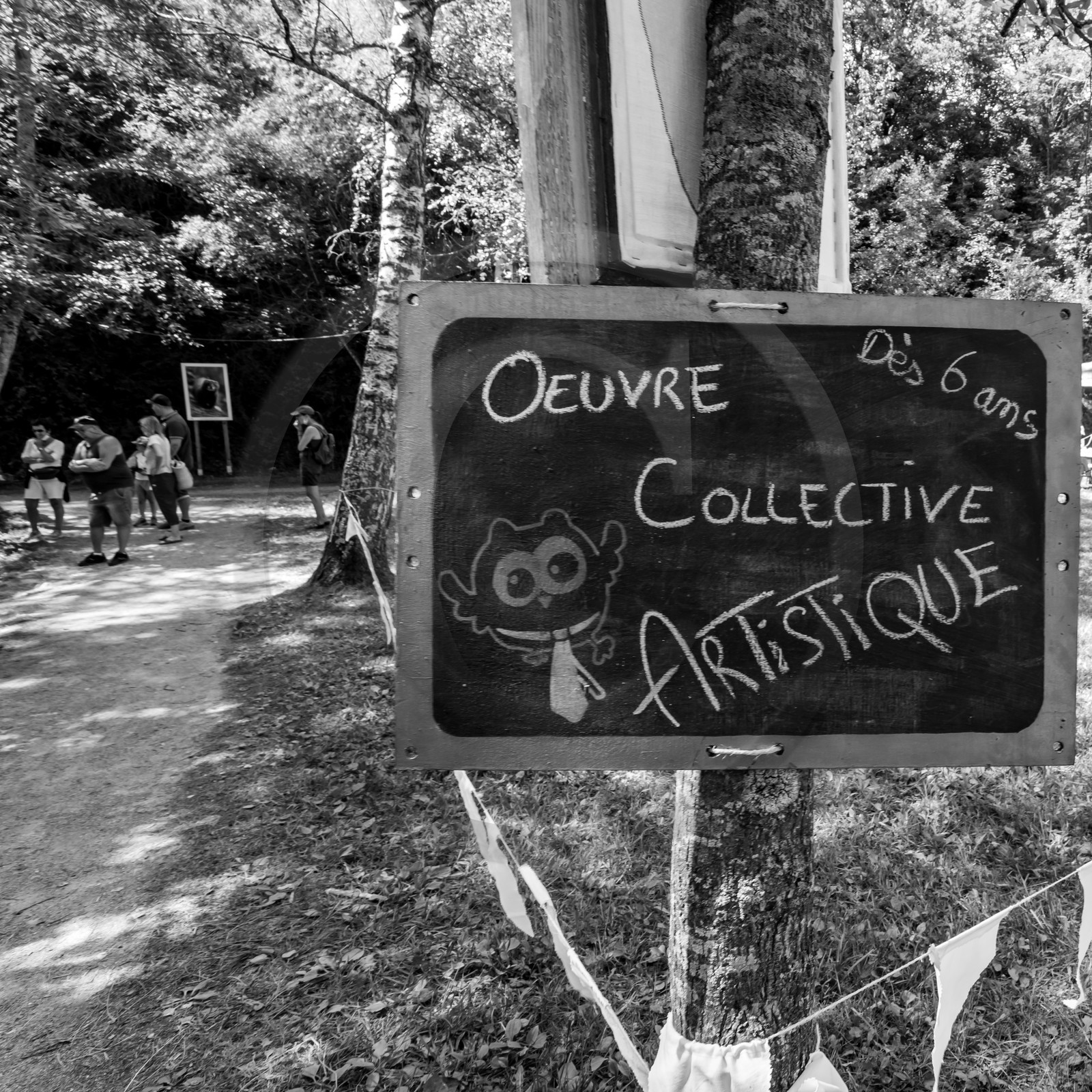 11, 12 et 13 août 2021 : L'Echo des Mots