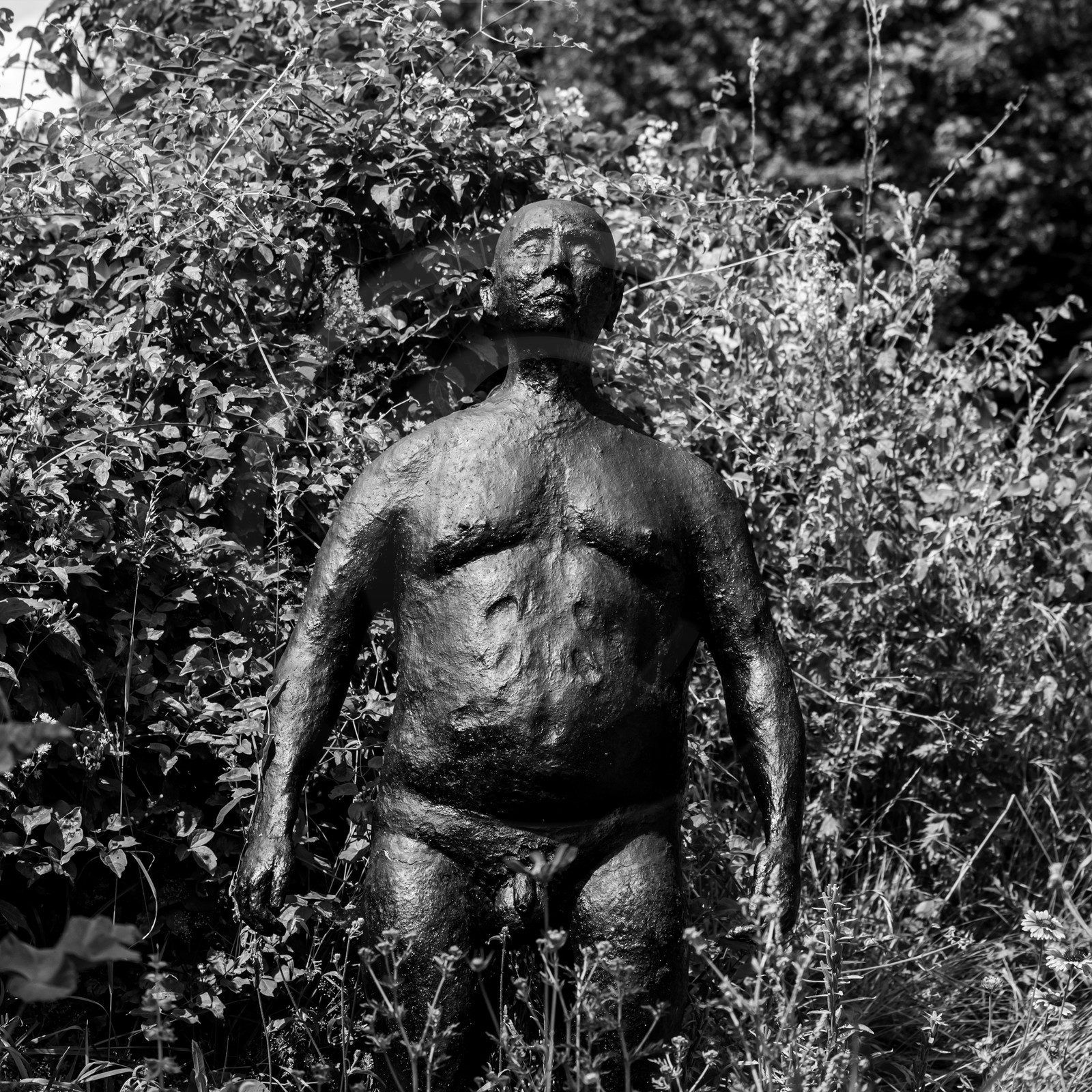 Exposition La forêt d'hommes, une création de Barbara Fougnon, artiste plasticienne